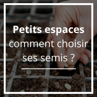 Petits espaces : comment choisir et faire pousser ses semis?