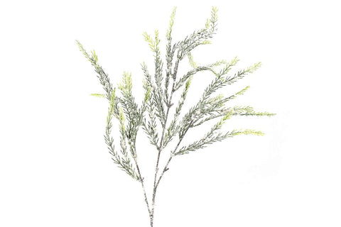 Branche enneigée 2 tons de vert
