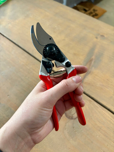 Sécateur ergonomique à une main FELCO 14 - L'excellence Suisse.