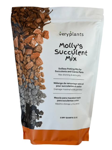Mélange pour succulents et cactus Molly’s