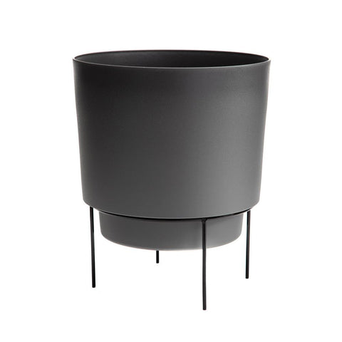 Pot Hopson charcoal