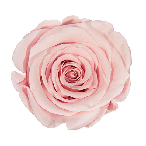 Rosé éternelle rose pâle