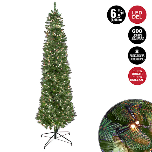 Sapin de Noël étroit avec 600 lumières blanc chaud Jardinerie Fortier