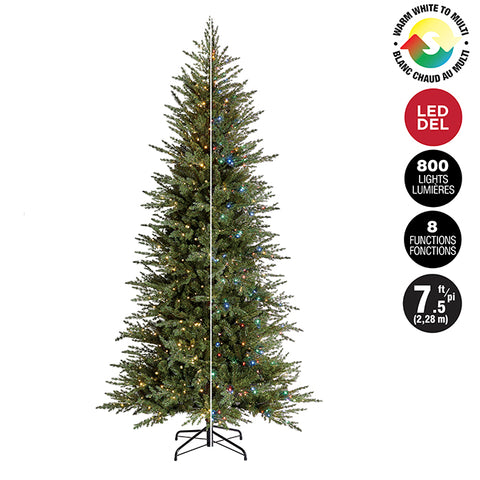 Sapin de Noël à 800 lumières 2 couleurs