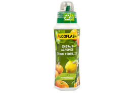 Algoflash AGRUMES