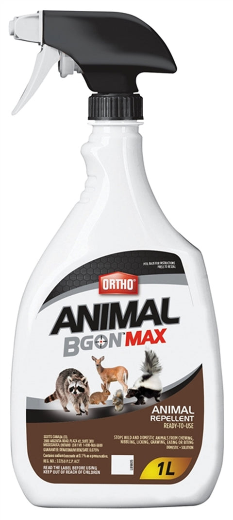 Animal B Gon Max