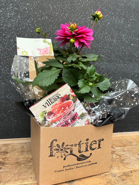 Boite cadeau fleurie Dalhia ROSE pour adjointes administratives