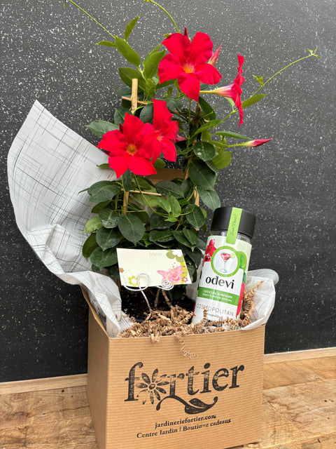 Boite cadeau fleurie signature MANDEVILLA pour adjointes administratives