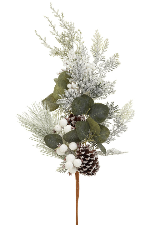 Branche décorative baies et cocottes