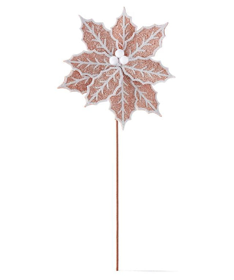 Branche de fleur de poinsettia