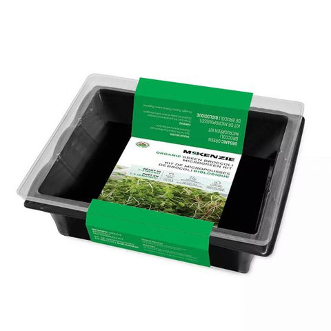 Kit micro pousse-brocoli