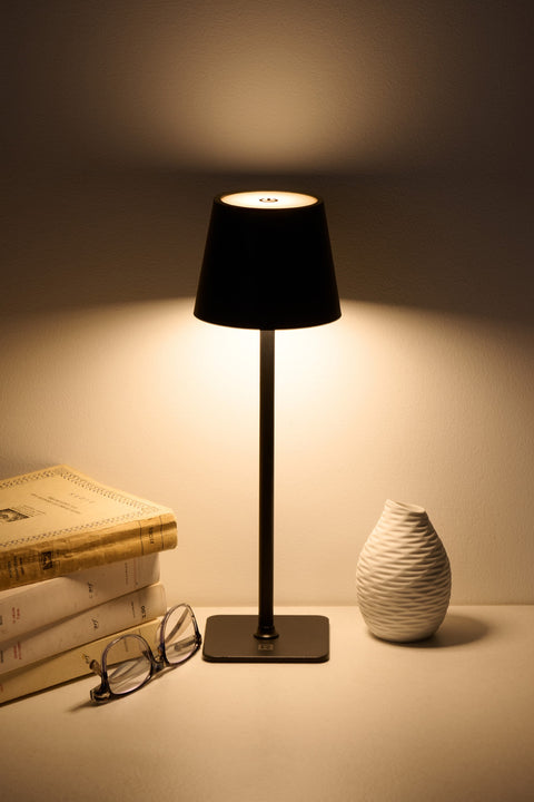 Lampe de table DEL rechargeable Ricardo