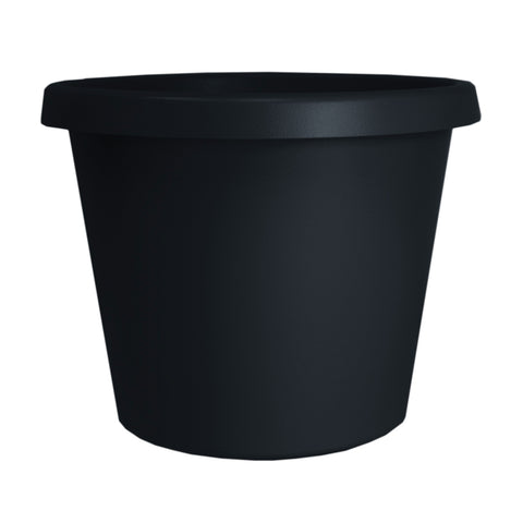 Pot noir Prima
