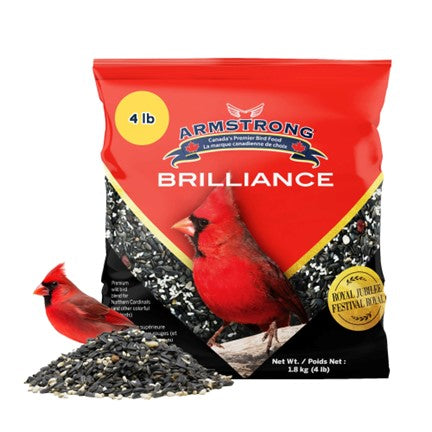 Mélange supérieur Brilliance