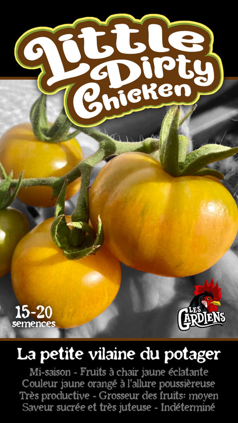 Semence de "Tomate Kittle Dirty Chicken"