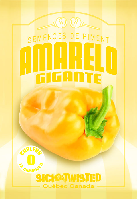 Semence de "Piment Fort Amarelo"