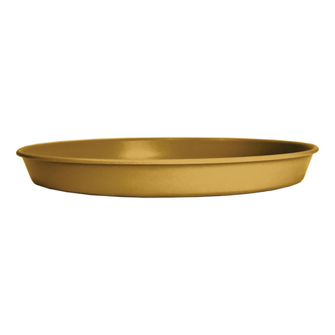 Soucoupe jaune miel Prima