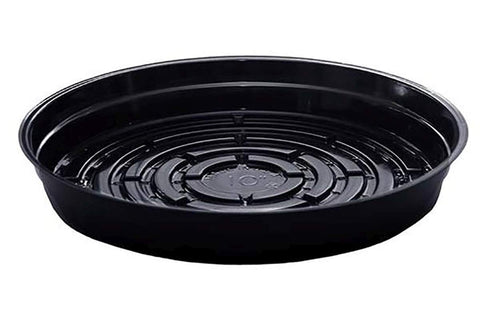 Soucoupe robuste noire