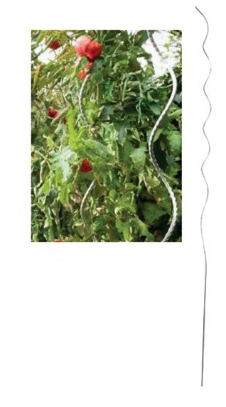 Support spirale de tomates