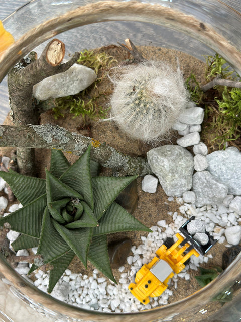 Atelier parent-enfant : Création d’un terrarium ou Mini centre de table - Vendredi 5 Décembre