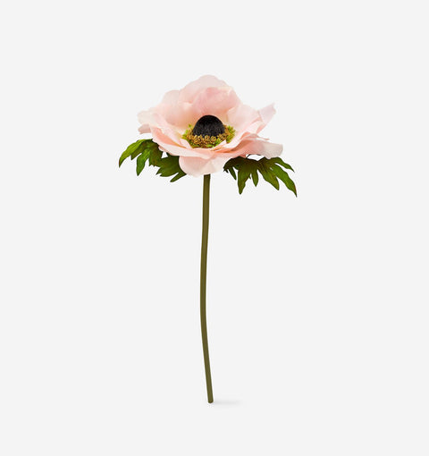 Tige d'anémone rose pâle XL