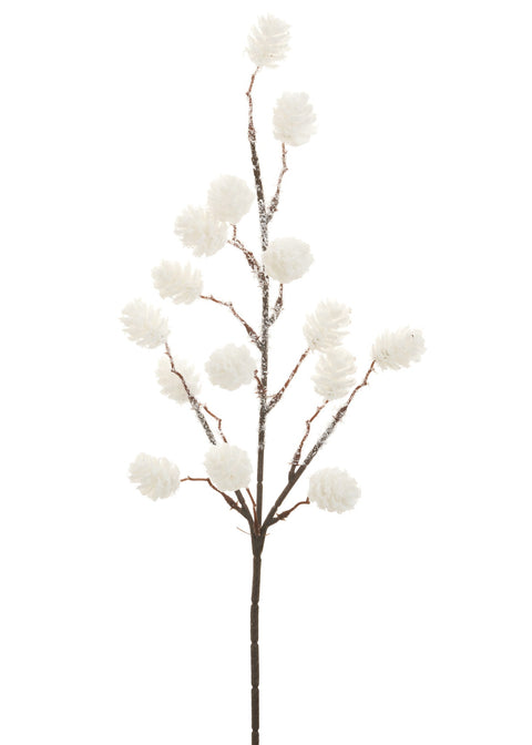 Tige de pommes de pin blanches