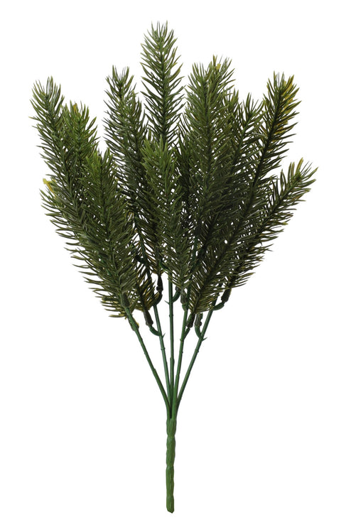 Bouquet de pin vert