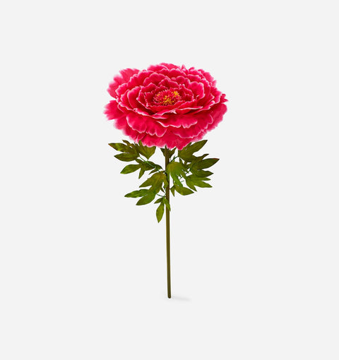 Fleur de pivoine rose XL