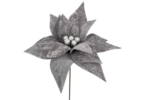 Pic de poinsettia gris