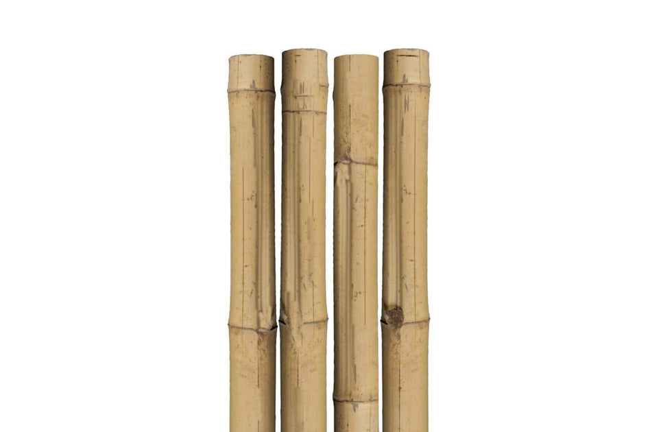 Tuteur Bambou 250 Cm