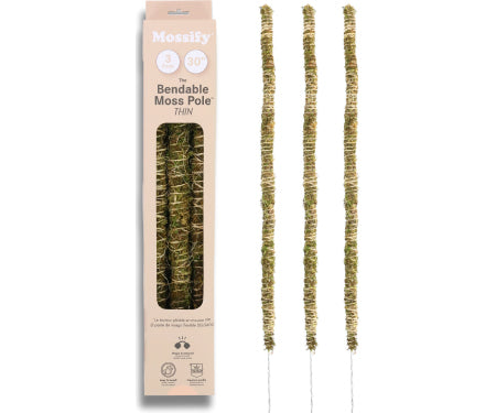 Tuteur recouvert de mousse de sphaigne pliable - MOSSIFY