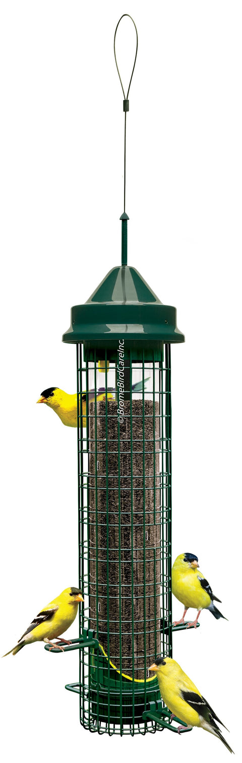 Mangeoire d'oiseaux sauvages