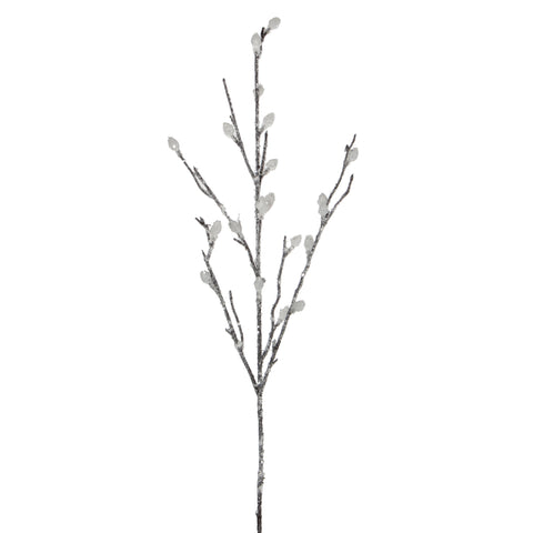 Tige de saule blanc givrée