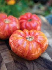 Semence de "Tomate Heirloom rayée" non traité