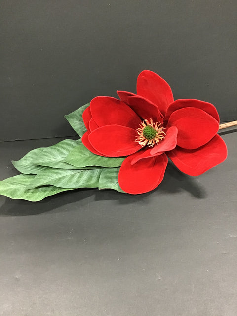 Tige de magnolia rouge