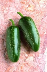 Semence de "Piment fort Jalapeno" non traité