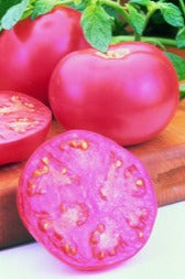 Semence de "Tomate rose"