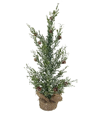 Sapin de Noël en pot