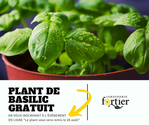 Événement saveurs et conserves: samedi le 29 août