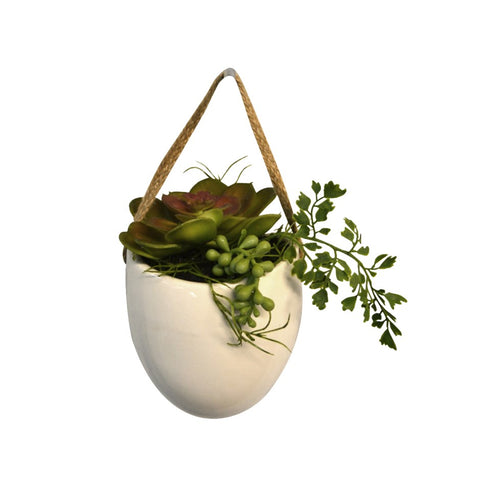 Vase blanc suspendu avec succulentes
