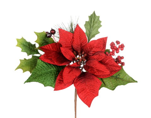Tige de poinsettia rouge