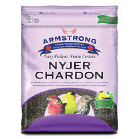 Festin chardon pour oiseau