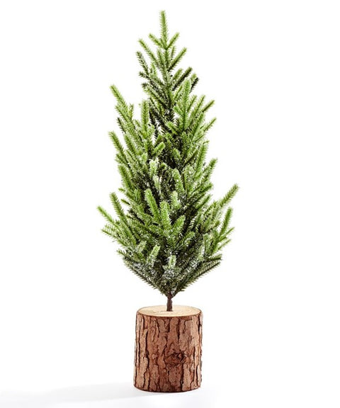 Petit sapin sur tronc d'arbre