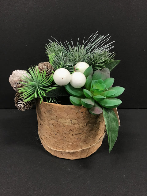 Plante avec pin et cactus