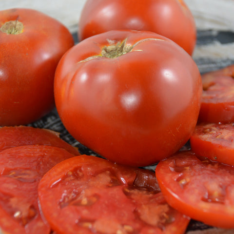 Semence "Tomate Moskovich" - Bio - Écoumène