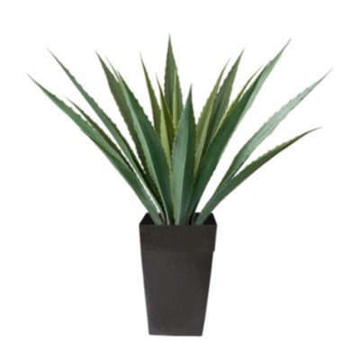 Agave américain artificiel