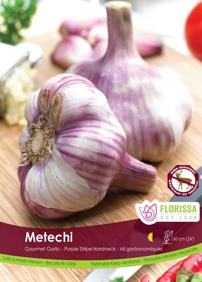 Bulbe ail "Metechi"