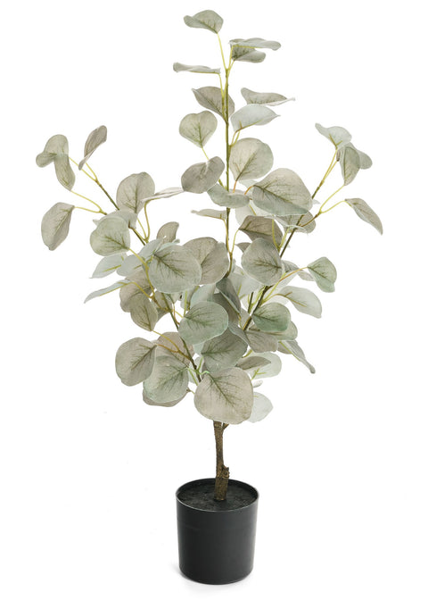 Plante d'eucalyptus artificielle