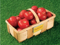 Semence de "Tomate Tasti-Lee"