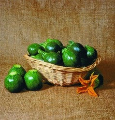 Semence de "Zucchini ronde verte"